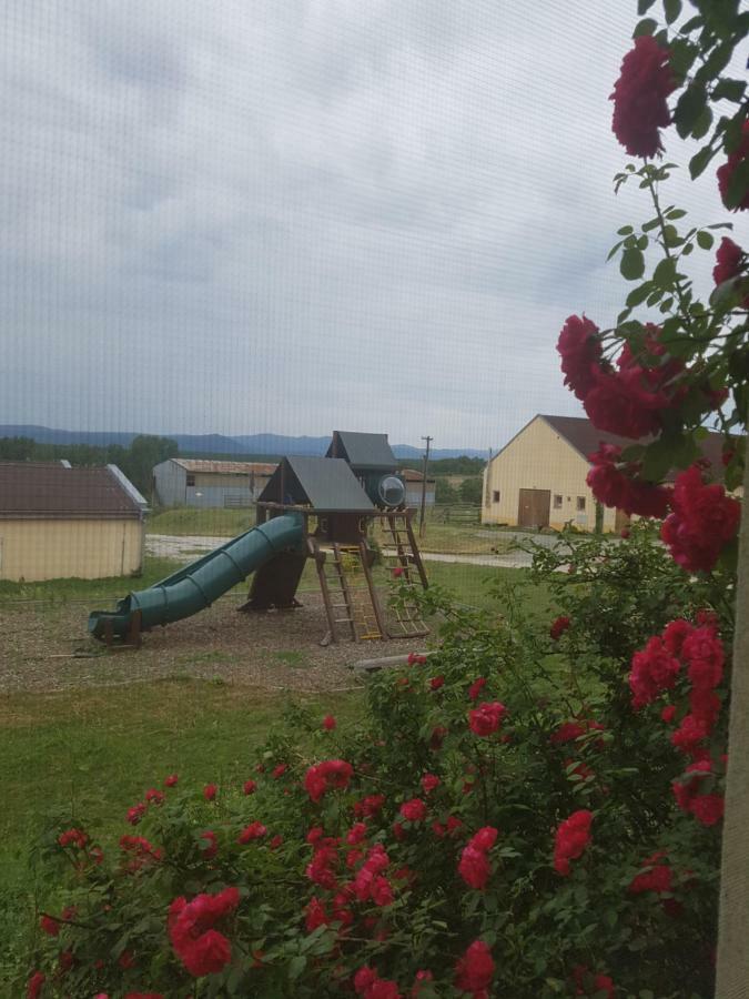 Bio Farma & Penzion Zlaty Hyl Novacany Exterior photo